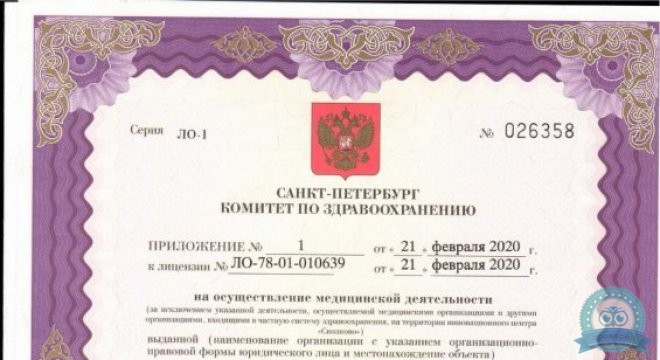 ОРТЕКА Автово