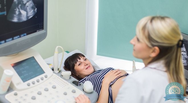 Евромед Инвитро (Euromed In Vitro) Клиника репродуктивного здоровья и ЭКО